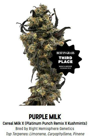 F5 Farms | Purple Milk (H) | Big Buds | 3.5g