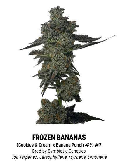F5 Farms | Frozen Bananas (I) | Big Buds | 3.5g