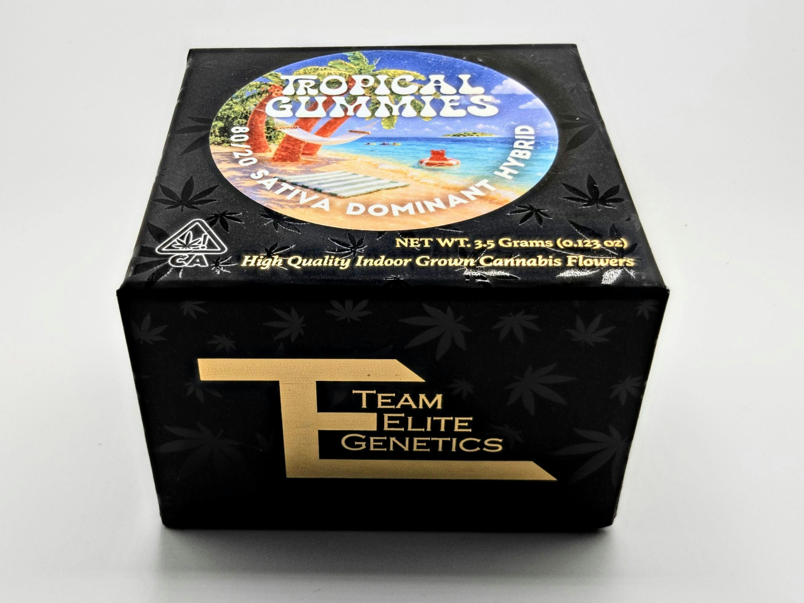 Team Elite Genetics | Tropical Gummies (S/H) | 3.5g