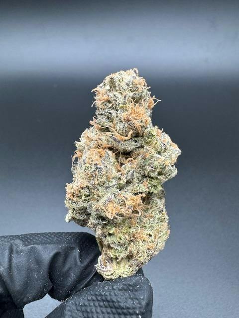 Dank Of America Rancid Rainbow Pre Packed