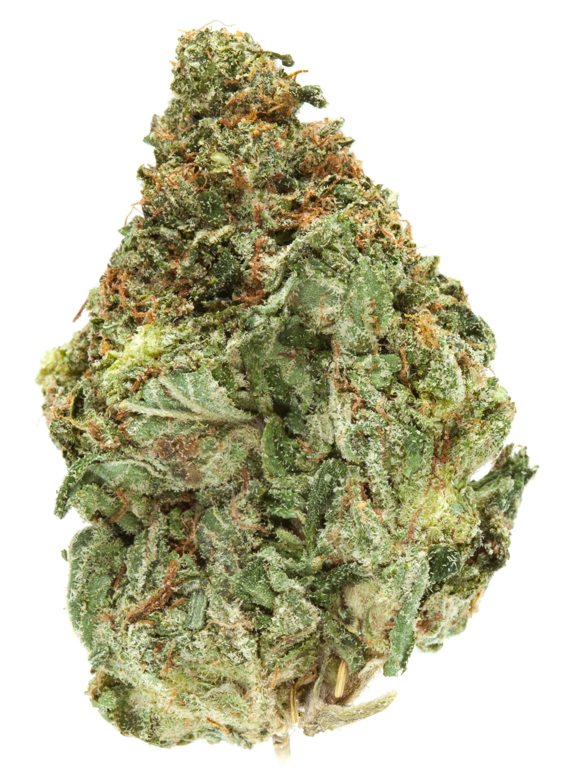 Holy Roller OG