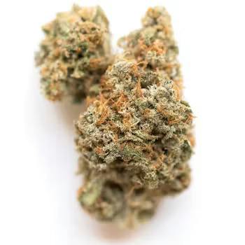 Rare Dankness | Purple AK | Flower | 3.5g