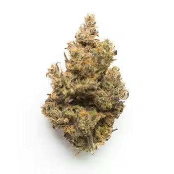 Rare Dankness | Jungle Pie | Flower | 3.5g