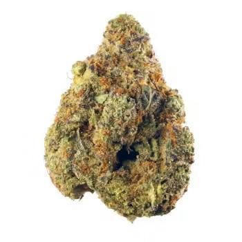 Catalina Wine Mixer | Flower by Natty Rems