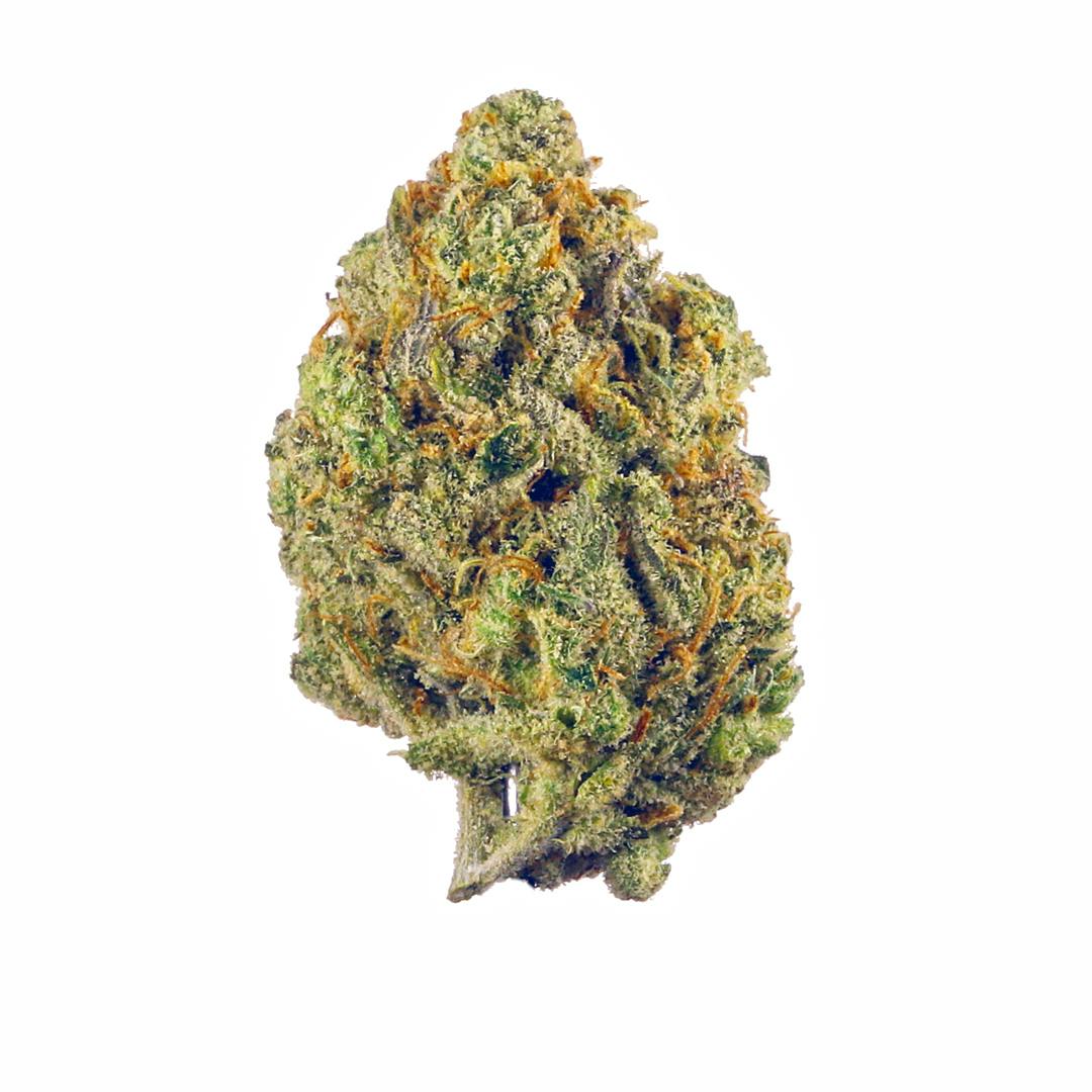 Super Lemon Haze Flower by Natty Rems