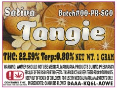 SGO - 1g Pre-roll - Tangie