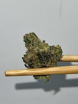 (PRICH) Rain Dance Flor (Happy Buds)