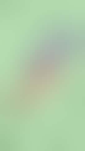 (NEXTGEN) SkyHi 510 Northern Lights Cart 1g