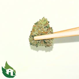 (VITAL) JetPack Flor (Happy Buds)