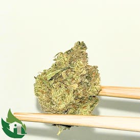 (PRICH) Golden Nugget Flor (Casita Gang)