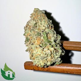 (PRICH) Granny Mac Flor (Happy Buds)