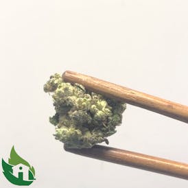 (PRICH) Apple Bananas and Medellin Flor (Casita Gang)