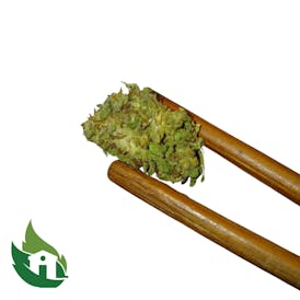 (18) Tricross Flor (Pal Apretau)