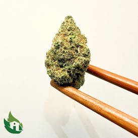 (HW) Quatro Kush Flor (Premium)