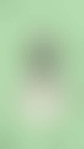 (HW) Arnica Stix 1:1