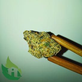 (H) Karamel Kut Throat Flor (Premium)