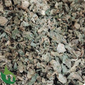 (PRICH) Golden Nugget (Trim)