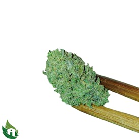 (BIOGROW) Perzimmon Flor (Premium)