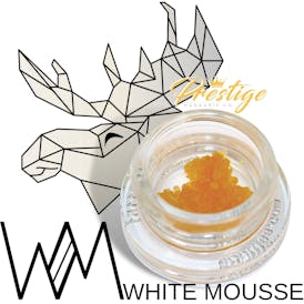WHITE MOUSSE LIVE RESIN | ROZAY - HYBRID (1G)