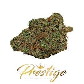 EXOTIC SPECIAL | SALLY FIELDS - HYBRID ($100 OZ OTD)