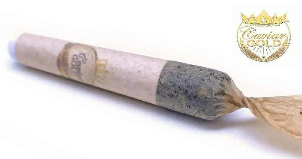 Lil Cavi | Original Gangsta | Infused Mini Pre-Roll | 0.3g by Caviar Gold
