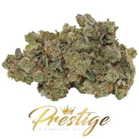 3 ~ EXCLUSIVE | PURPLE KUSH - INDICA