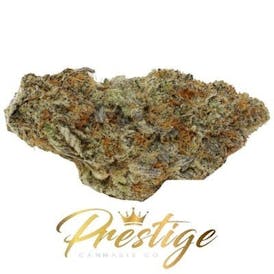 1 ~ EXOTIC | PRESSURE - HYBRID