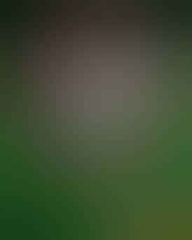 3 ~ EXCLUSIVE | BLUE NERDZ - HYBRID (PREPACKED 3.5G)