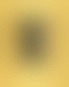 GOLDEN SHOVEL SMALL BUDS | TROPICANA PUNCH - HYBRID (14G)