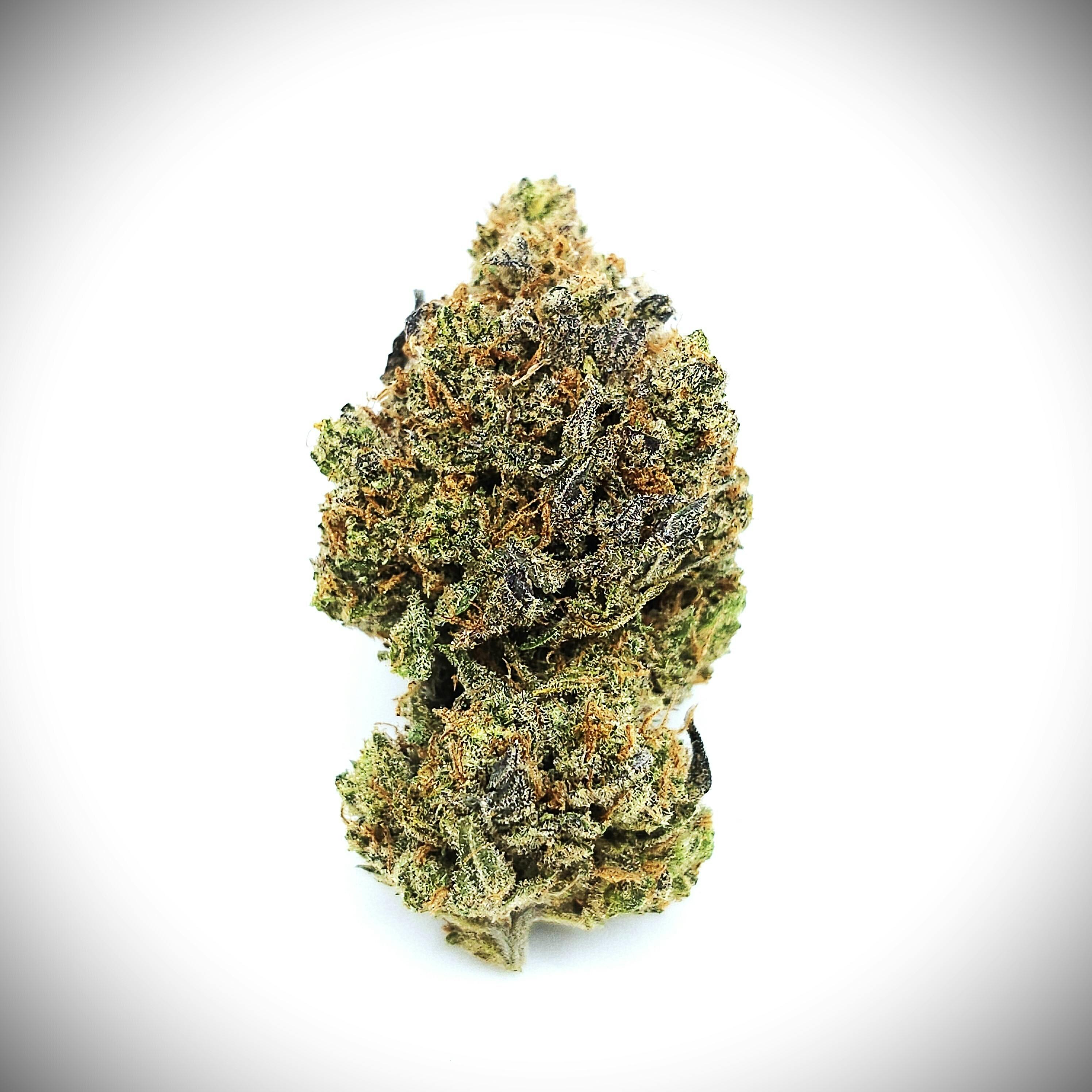 Fresh: Candy Store
