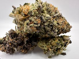 MANGO KUSH