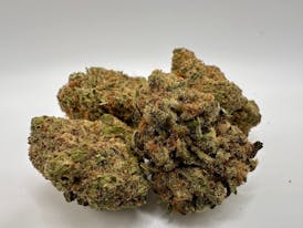 NORTHERN LIGHTS