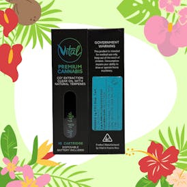 VITAL - PERREO 1G CO2 DISPOSABLE