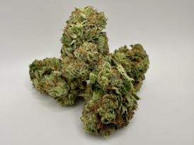 HIGHWAY MAXX #1