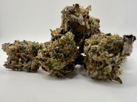 DULCE DE PAPAYA #17