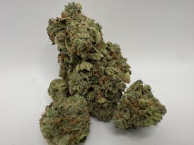 CITRAL GLUE