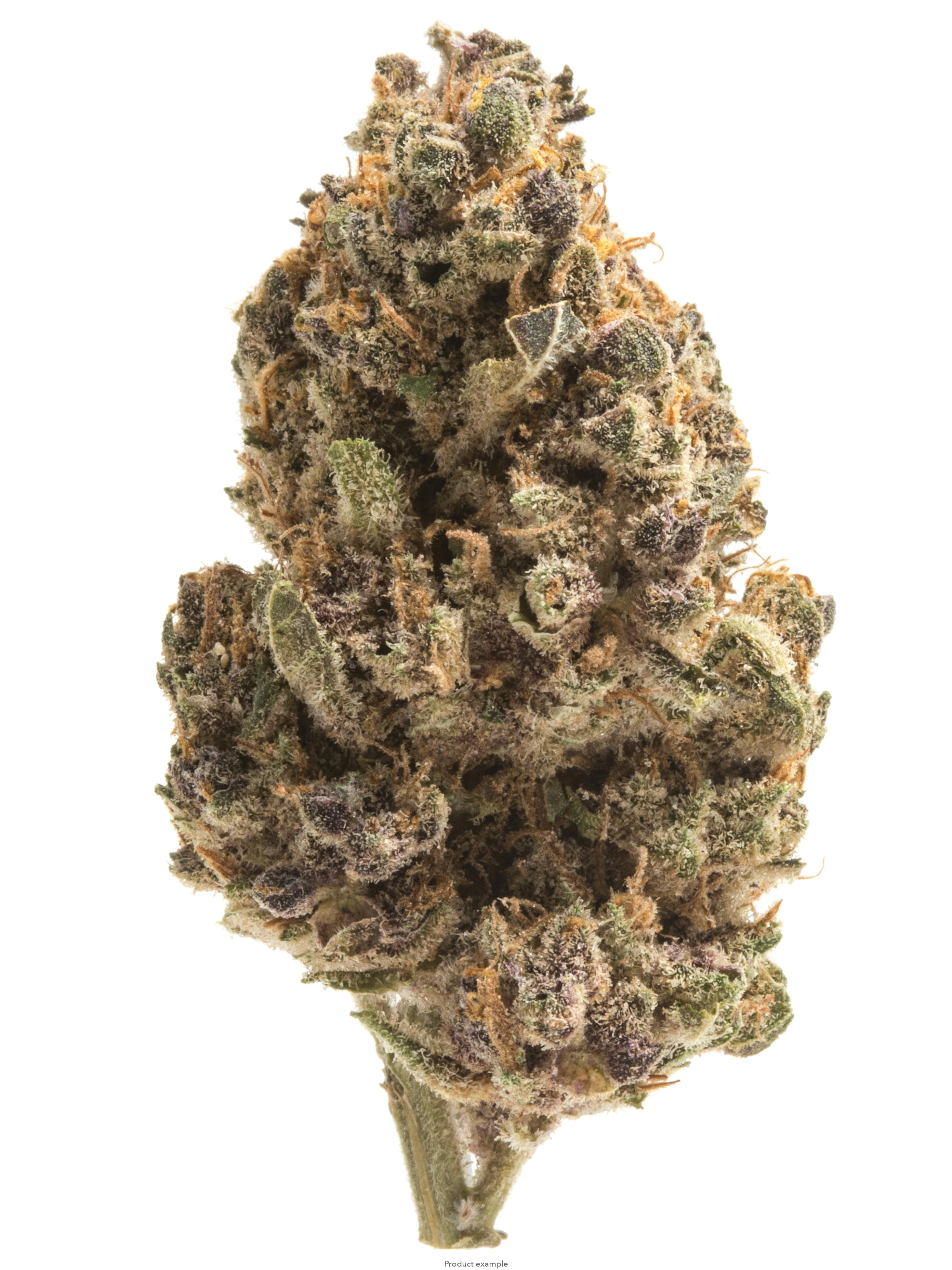 Berry Pie