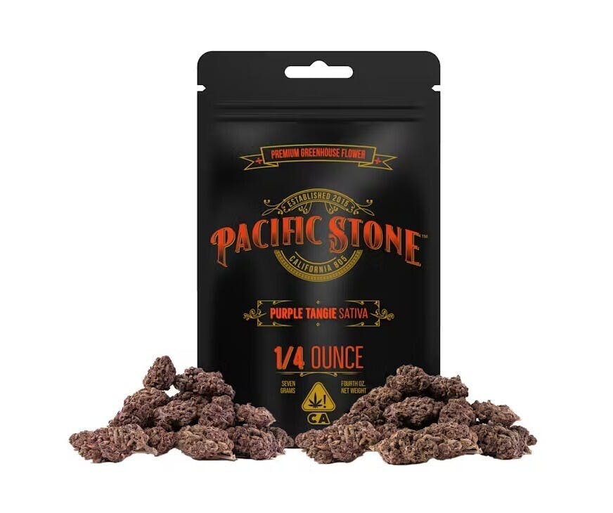 Pacific Stone — Purple Tangie