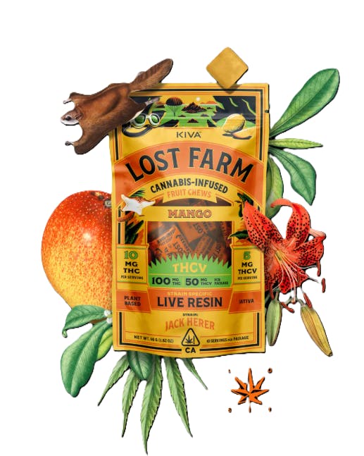LOST FARM MANGO — Jack Herer :5 Chews