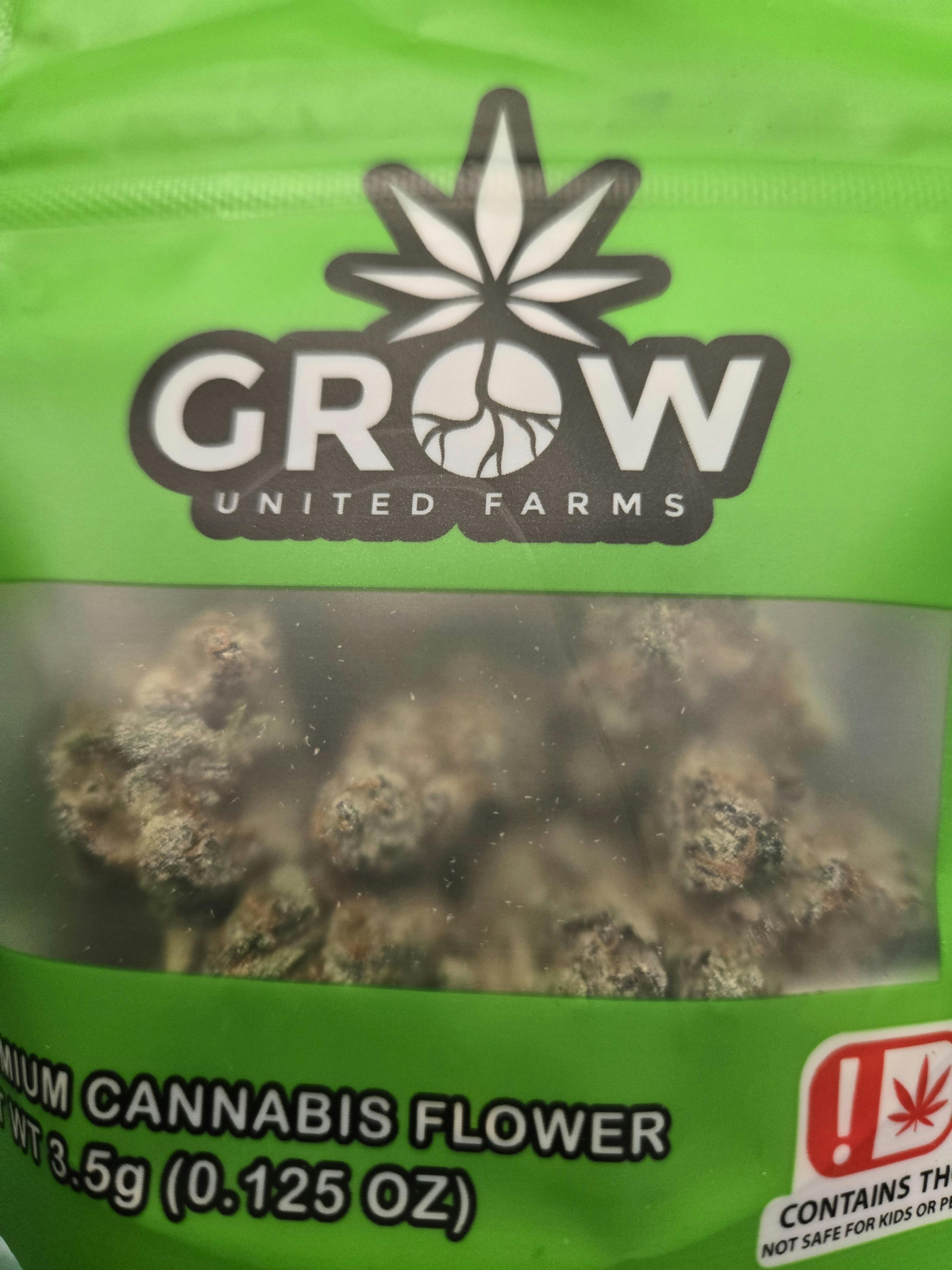 Grape Gaslato | Smalls | 3.5g