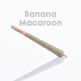 Premium Preroll - Banana Macaroon - 1.2g