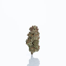 Chem De La 91