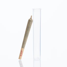 Premium Preroll - Skywalker OG - 1.2g
