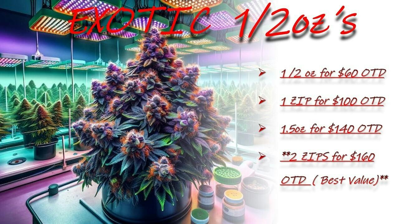 EXOTIC HALF OZ SPECIAL