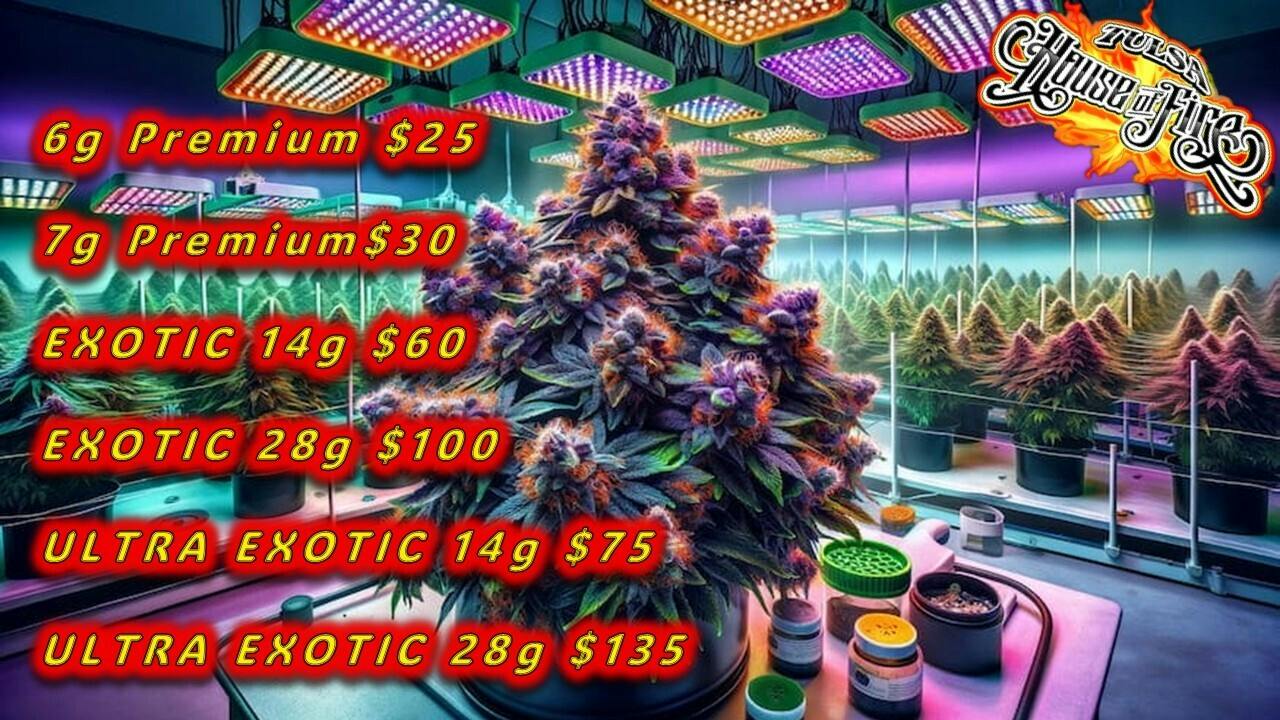 1/4 OZ - PLUG PACK $30 OTD