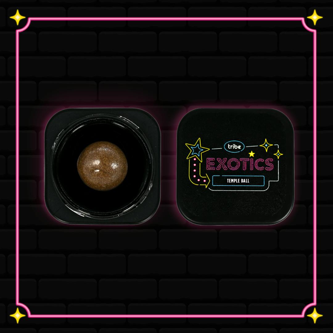 Tribe | Squirt | Live Ice Water Hash | Temple Ball | 1g