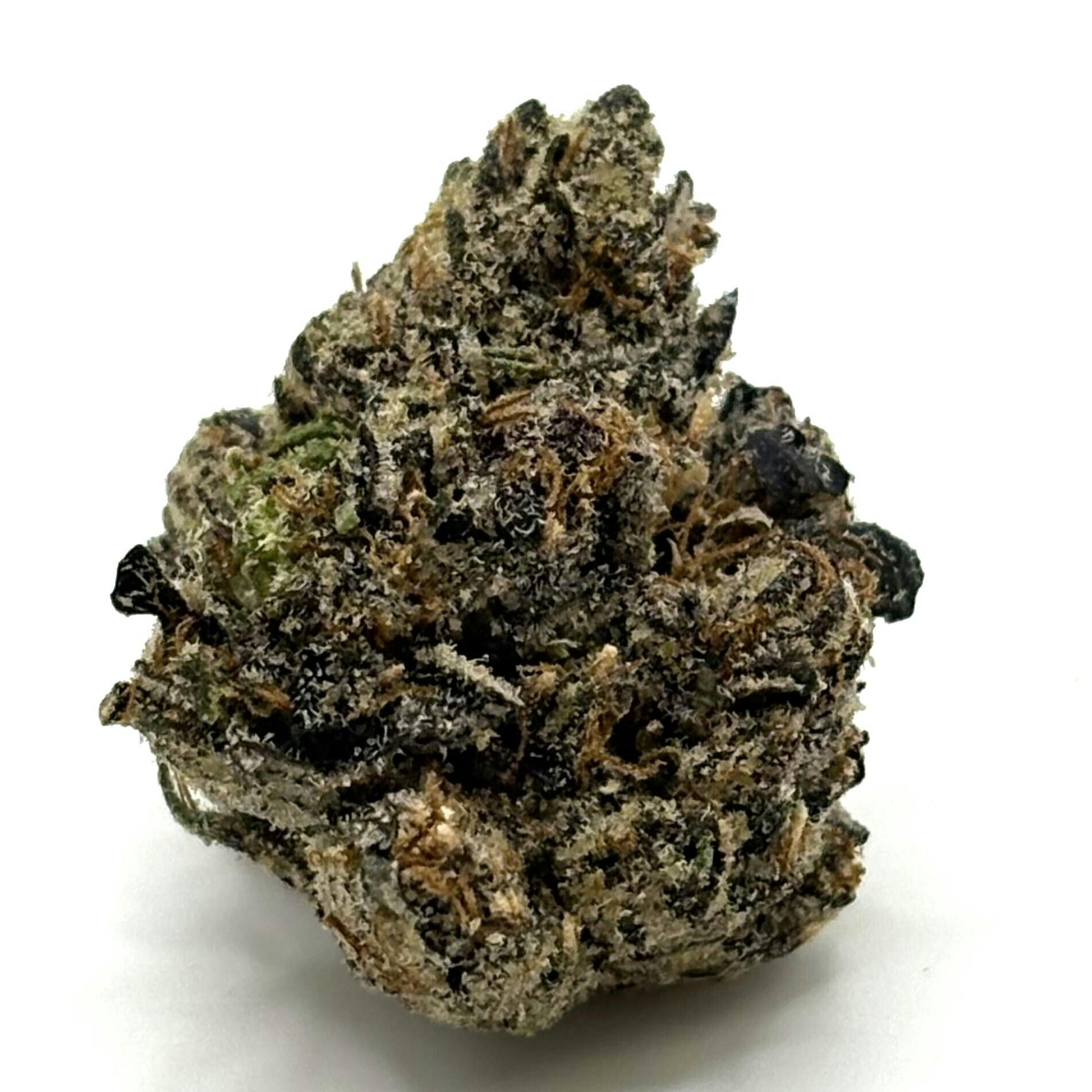 Zorroz | Big Buds | 3.5g