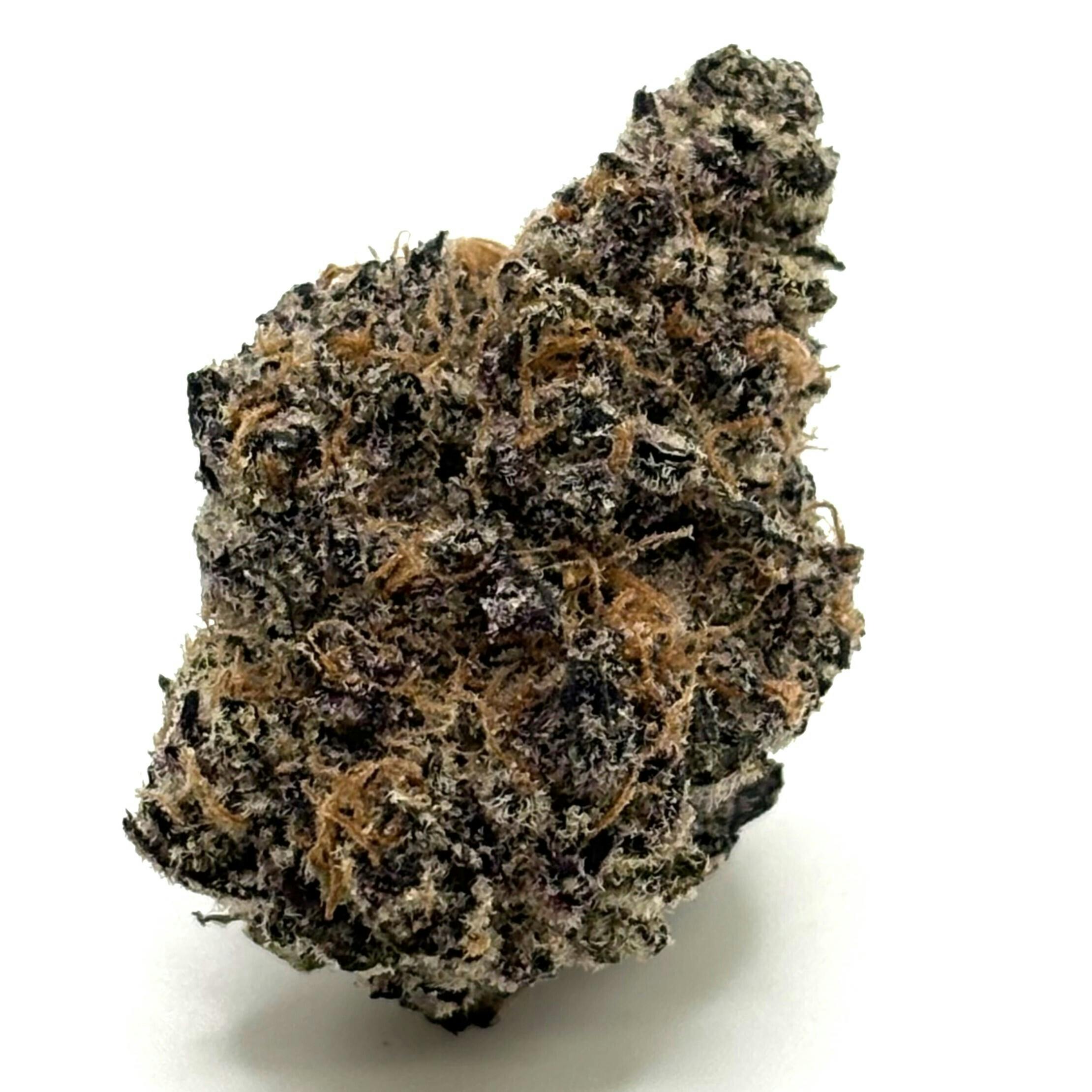 Garlic Gold Rush | Fresh Big Buds | 3.5g