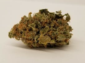 7G SOUR TANGIE - NSM