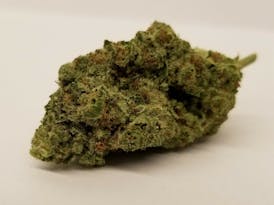 7G BANANA HAMMOCK - BOLD (BUY MORE SAVE MORE!)